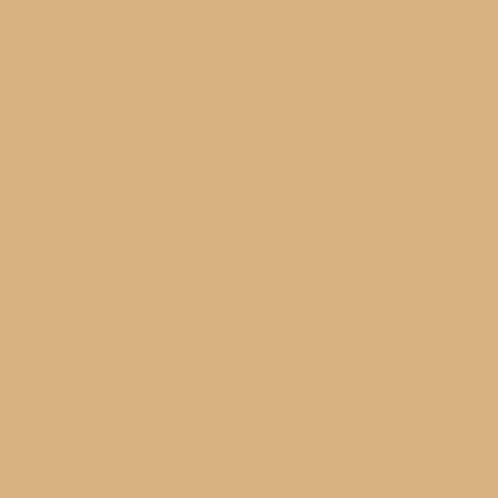 2165-40 Dark Beige - Paint Color | Ferguson Brothers Paint