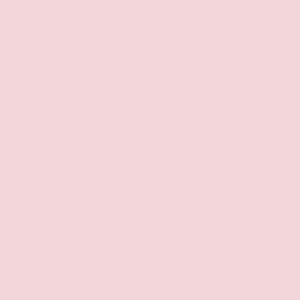 1320 Florida Pink a Paint Color by Benjamin Moore