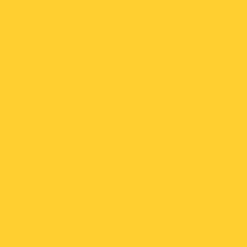 321 Viking Yellow - Paint Color | Ferguson Brothers Paint & Supply